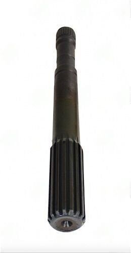 3181 161149798499354 PTIWM transformed 1