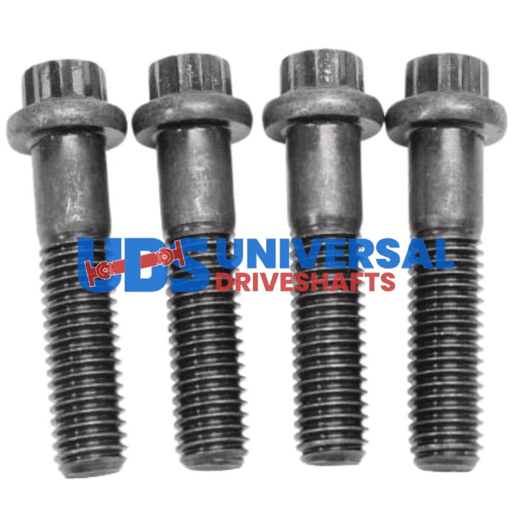 Diseno sin titulo 2025 02 10T065203.526 Diseno sin titulo 2025 02 10T065203.526