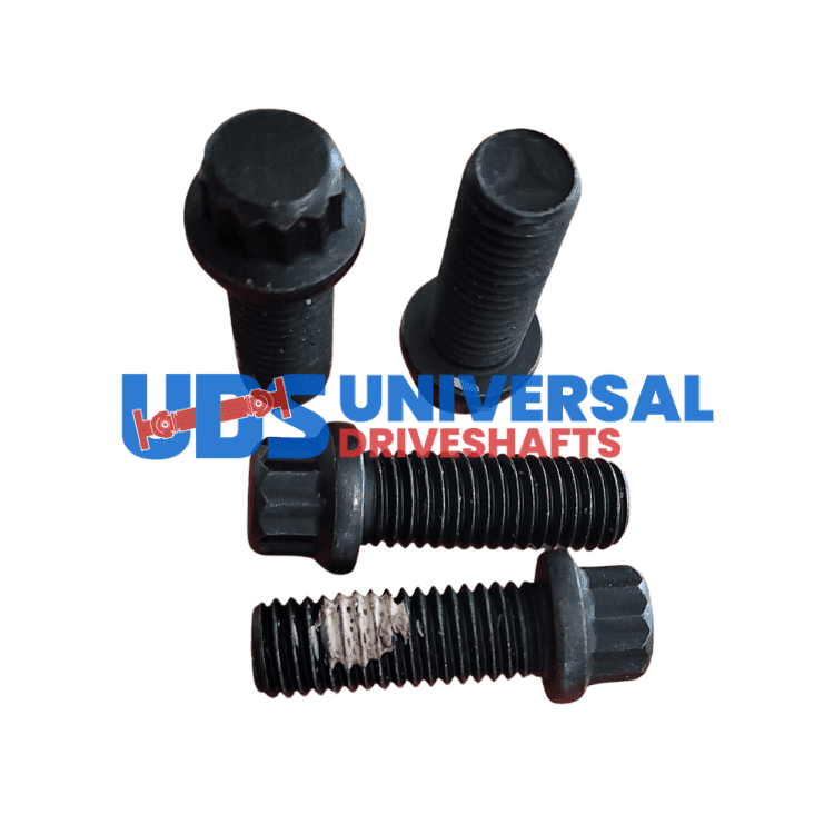 Diseño sin título 2025 02 14T020525.264 Diseño sin título 2025 02 14T020525.264